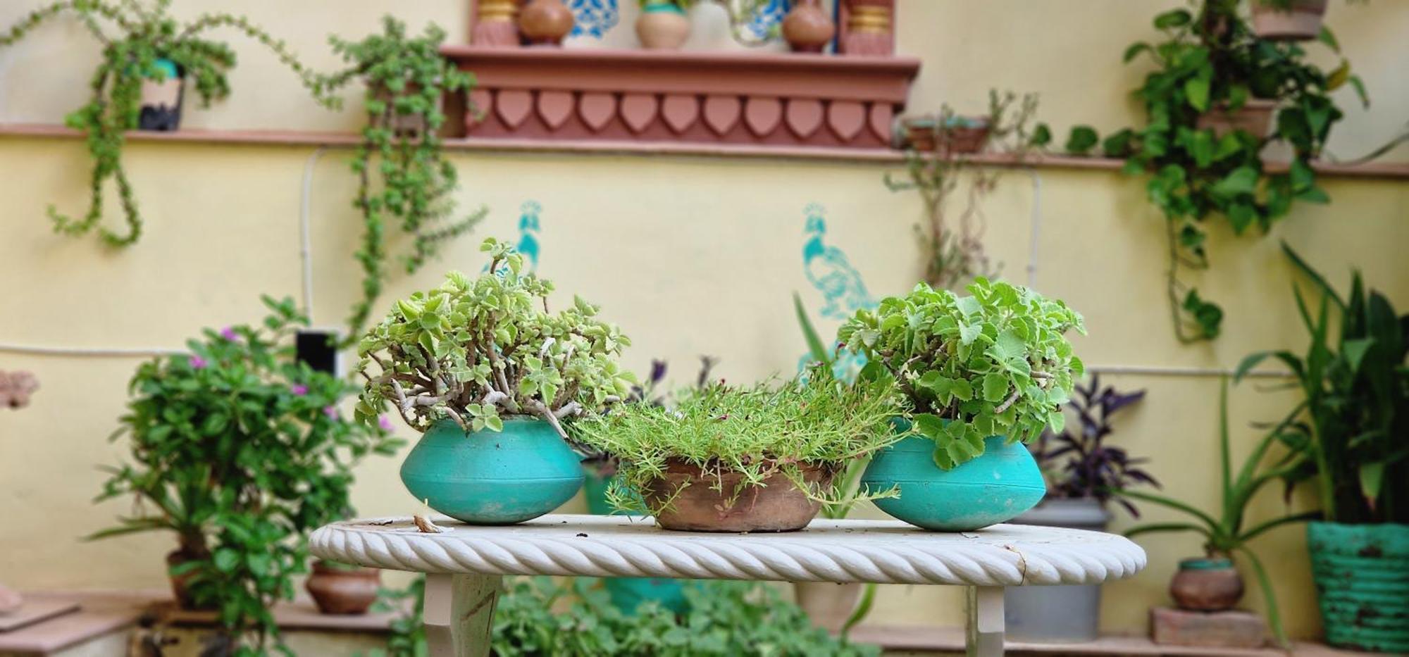 Apartamento Harsidhi Haveli Bikaner Exterior foto